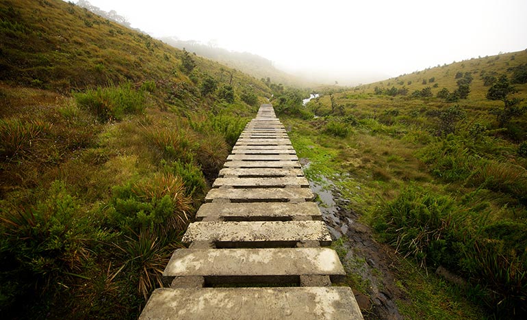 我為什麼現在不能跟祢去？