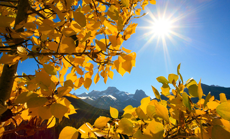 絕不徒然的恩典 絕不徒然的恩典